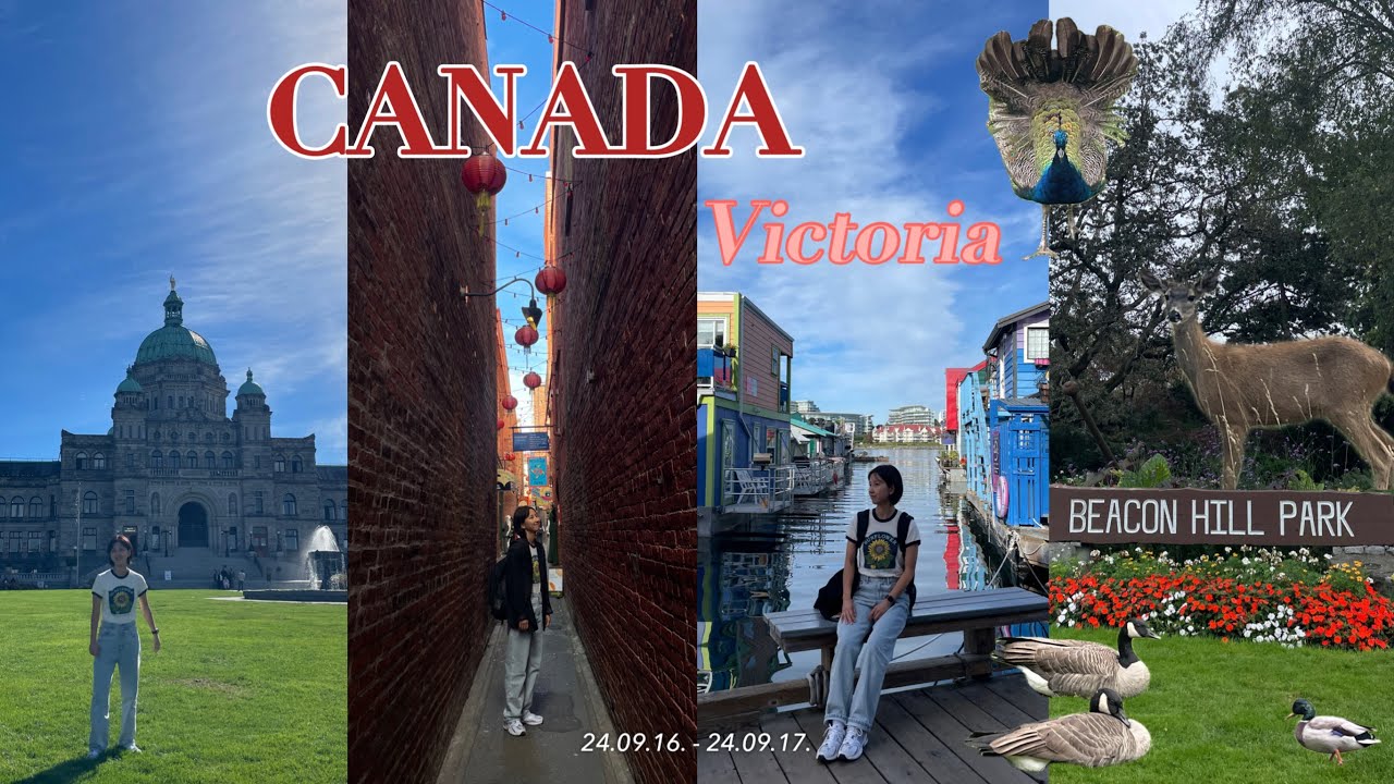 [vlog]캐나다🇨🇦밴쿠버여행 ep.2 이번엔 빅토리아다