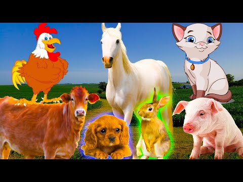 Farm animal rations: dog, cat, cow, horse, duck, chicken - animal sounds