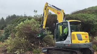Icd Demo Day At Torrisdale Estate