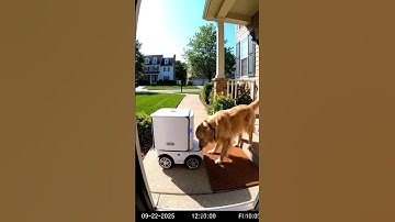 CCTV: Delivery Robot Encounter #cctvfootages  #ringcamera  #deliveryrobot  #smarttech