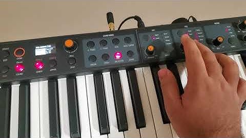 numa compact 2x review