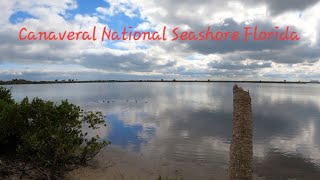 I Find Manatees At Canaveral National Seashore and Visit the Enchanted Forest