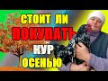 Стоит ли ПОКУПАТЬ кур осенью. Важные моменты.