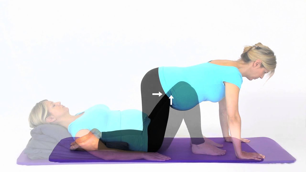 Pregnancy Exercises - One Leg Stretch in Four Point Kneeling - YouTube
