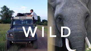 ZAMBIA  From South Luangwa to the Lower Zambezi // EP.48