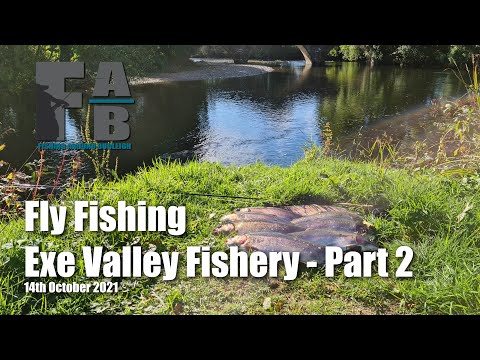 Fly Fishing Exe Valley Fishery - 14th October 2021 - Part 2