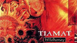 💀 Tiamat - Wildhoney (1994) [Full Album] 💀