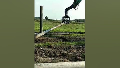 Búa rung đóng cọc bê tông tròn li tâm