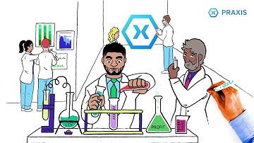 What does Praxis Do?