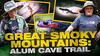 Discovering the Hidden World of Salamanders: Alum Cave Adventure, Day 3