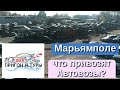 Авторынок Мариямполе, ОЧЕНЬ много Автовозов! Октябрь 2018. #АвторынокМариямполе #Мариямполе