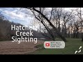 Sighting report from hatchett creek in coosa county al