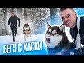 КАНИКРОСС 🐕 Бегу с собакой 🏃 Хаски Тор ⚡