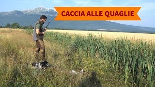 Caccia alle quaglie in Bosnia Erzegovina