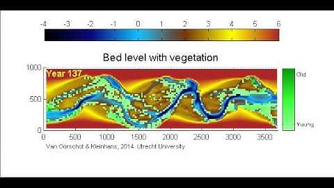 Dynamic vegetation scenario