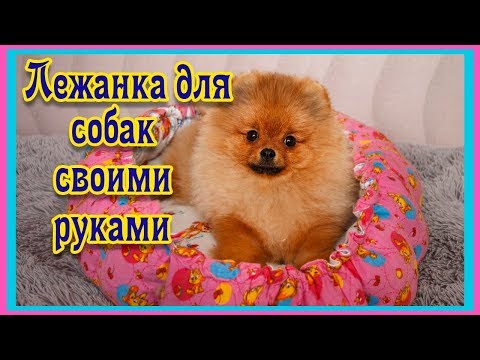 Как сшить лежанку для шпица