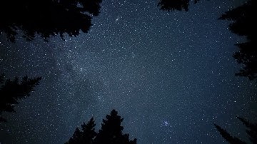 خواتيم سورة الفرقان بصوت خاشع | الشيخ أحمد الحذيفي من المسجد النبوي ✨