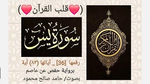 36 _ سورة يس _ ❤️ قلب القرآن ❤️  _ برواية حفص عن عاصم _ بصوت/ حامد صالح