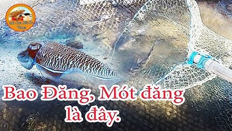 bao đăng, mót đăng ở biển Vũng Tàu nè: @mrtienanvat