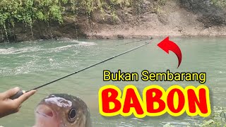 JORAN AUTO MELENGKUNG ‼️ TERNYATA BABONNYA KAYA GINI #mancing #trending #fyp