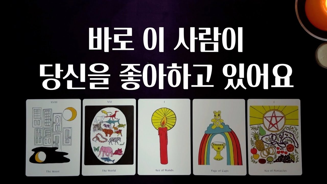 [타로 연애운] 바로 지금, 나를 좋아하고 있는 사람🌹