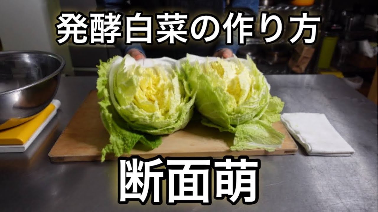 【腸活】乳酸発酵白菜の作り方、腸が歓ぶインスタント汁レシピあり