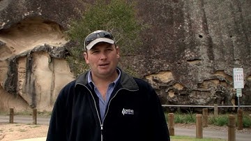 Active Tree Services - Supervisor