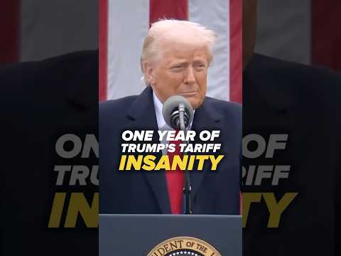 One year of Trump’s tariff insanity
