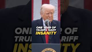 One year of Trump’s tariff insanity