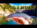 Рыбалка на #форель в конце февраля. ловля крупной форели в горной реке