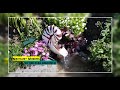 Teich Wasserspeier, Wasserspiel Carving, angle grinder, Wasserfall, Speedcutter