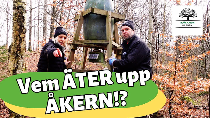 Detta gör vi för att INTE vildsvin ska äta upp åkern! Saltsten ska upp! Hur funkar en foderplats?