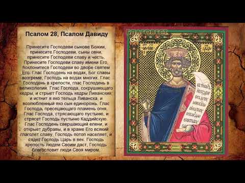 Псалом 28, Псалом