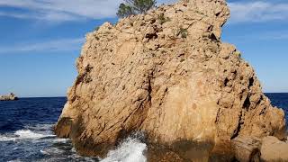 Ses Balandres Ses Balandres Circular