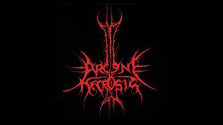 Download Lagu ARCANE NECROSIS - ARCANE NECROSIS FULL DEMO 2006 MP3 Download Lagu ARCANE NECROSIS - ARCANE NECROSIS FULL DEMO 2006 MP3