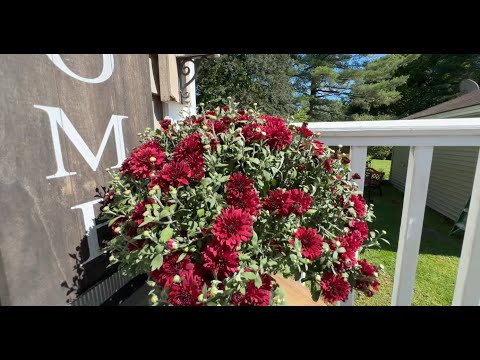 401 College Street, Lewiston, ME home video tour