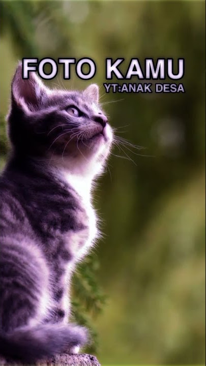 PRESET AM ||cukup kiko aja yang bisa di bagi dua hti kamu jangan
