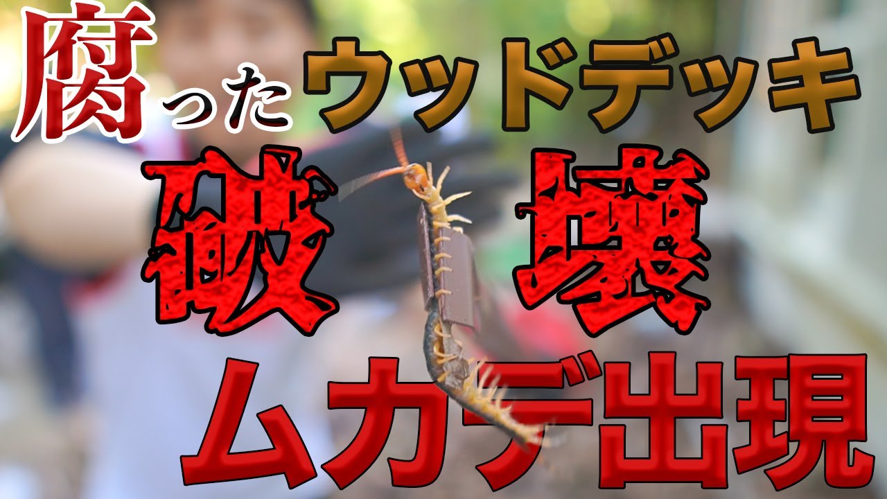 【24話】腐敗したウッドデッキを破壊!!その下から大量の害虫が!? YouTube