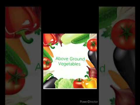 above ground vegetables