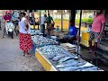 Wow  amazing village street sea fish market and super fish cutting skills