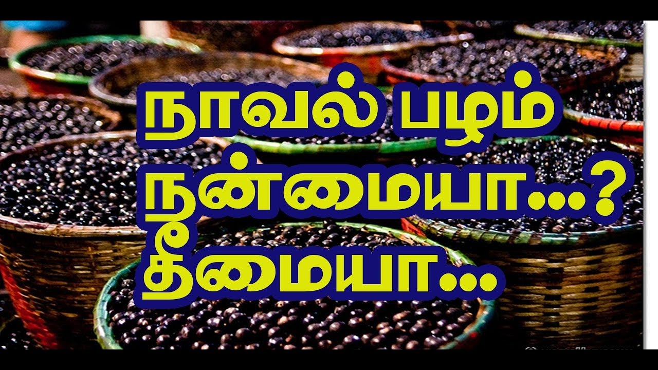 Amazing Health Benefits INDIAN BLACKBERRY! MIRACLE CURE FOR DIABETIC நாவல் பழம் நன்மைகள்jamun