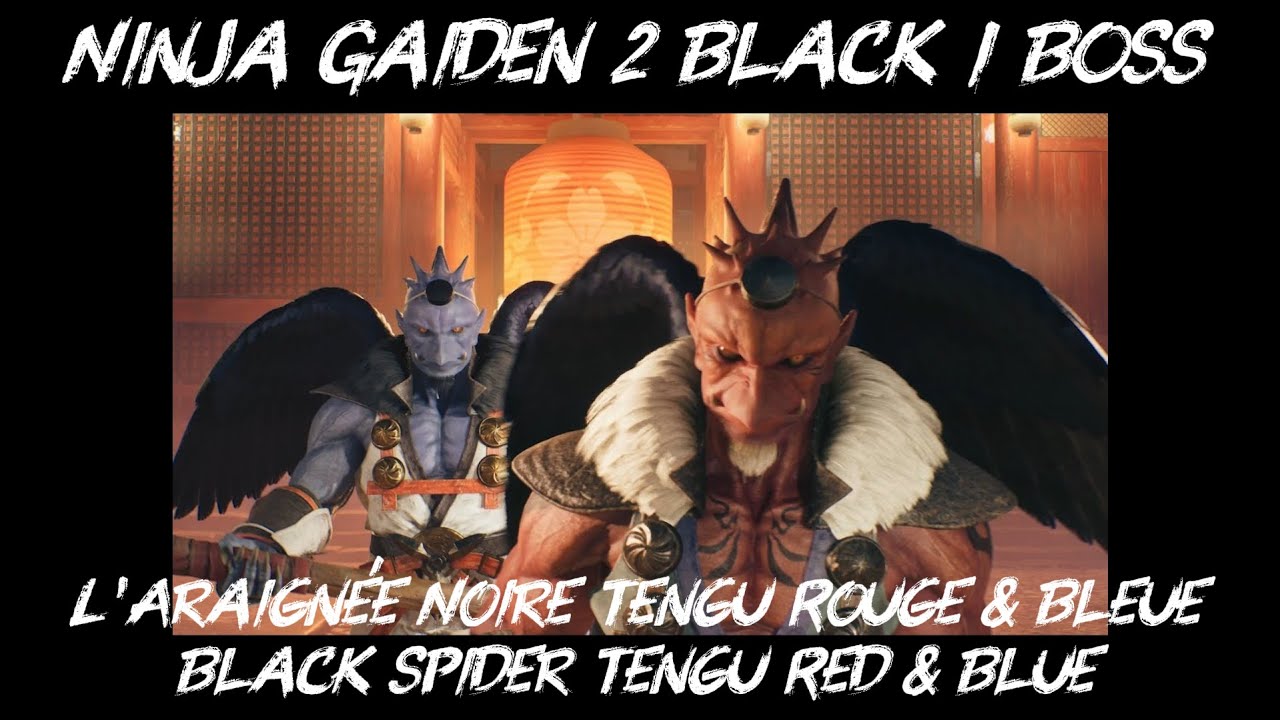 Ninja Gaiden 2 Black / BOSS / L'Araignée Noire Tengu Rouge & Bleue ...