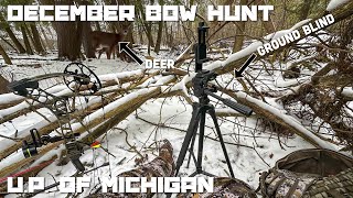 December Bow Hunting in the UP of Michigan-On the Ground-Close Up Action 2024
