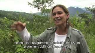 The Last Farmer. Un documentario da guardare. Neoliberismo, globalizzazione e agricoltura contadina