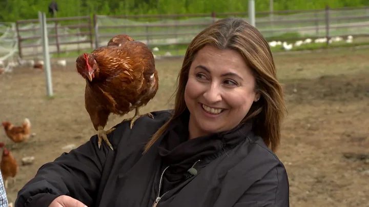 A Taste of the Prairies, documentary