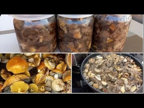 Video: Hvordan Lage En Boletus