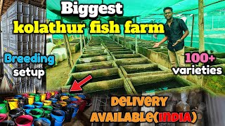 ரூ1 முதல் Fish varieties|biggest aqua farm|100+varieties|with price|farm visit|part1|Xploring