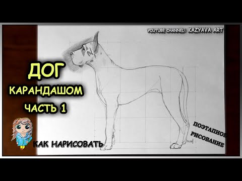 Как нарисовать ДОГА в полный рост карандашом поэтапно. Часть 1. Построение собаки
