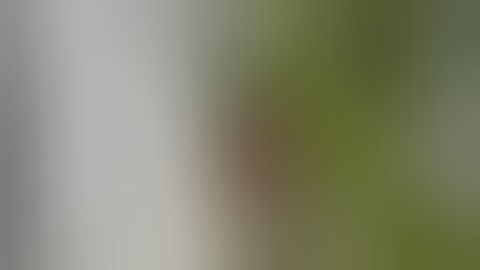 From www metacafe com 1487052 7871651 9