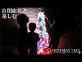 クリスマスツリー飾るぞ！【14】いっくんはファイバーツリーに大興奮！（自閉症・ASD）